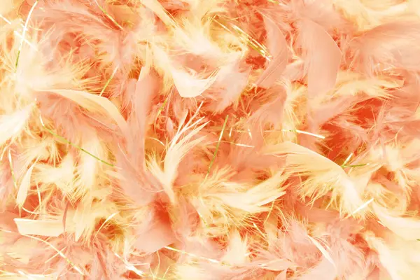 Close Peach Tones Feather Party Background Royalty Free Stock Images