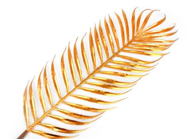 Altın palmiye yaprağı dalları beyaz üzerine izole edilmiş