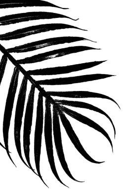 Altın palmiye dalının yaprağını kapat.