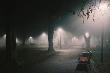 Dramatik sahneler, sisli bir gecede parkın sinematik atmosferi. Park ışıkları ve patikaların yanındaki boş banklar.
