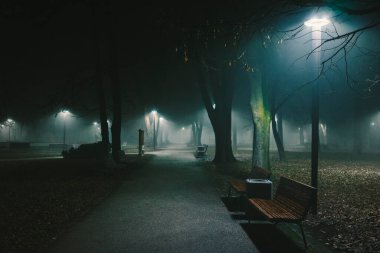 Dramatik sahneler, sisli bir gecede parkın sinematik atmosferi. Park ışıkları ve patikaların yanındaki boş banklar.