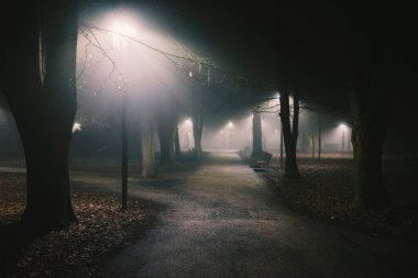 Dramatik sahneler, sisli bir gecede parkın sinematik atmosferi. Park ışıkları ve patikaların yanındaki boş banklar.