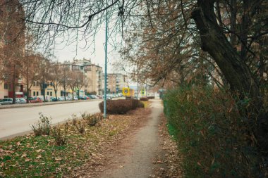 Şehir sokaklarının ve binaların arka planında bir çit ve kuru bir ağaç var. Düşen yapraklar ve kar olmayan kış dönemi. Balkan kenti.
