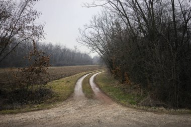 Sırbistan 'ın kışın, Sırbistan' ın orta kesiminde ve Sumadija 'da manzaralar.