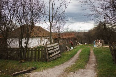 Sırbistan 'ın orta kesiminde bahar başlarında eski bir kırsal ev.