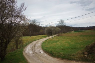Sırbistan 'ın orta kesiminde köy yolu, yağmurlu bir günde ilkbahar başlarında.