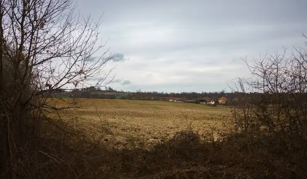 Sırbistan 'ın orta kesiminde baharın başında ekilebilir arazi, bulutlu gökyüzü ve uzakta eski bir ev halkı.