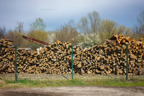 Ahşap endüstrisinin detayları, depolanmış kereste nakliyesi, depo alanı..