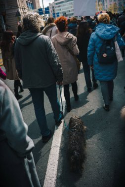 Belgrad, Sırbistan - 02 Nisan 2025: Sırbistan Cumhuriyeti hükümet binası önündeki üniversite ve enstitülerin protestosu.
