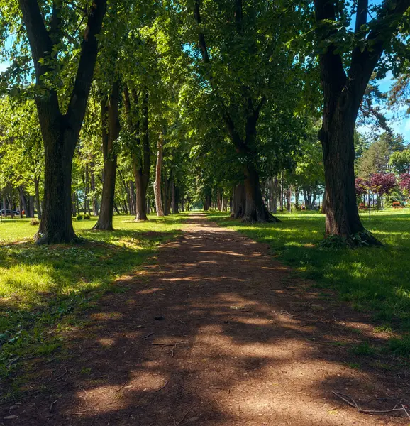 Kragujevac 'taki şehir parkının detayları, bahar günü, yollar ve bitki örtüsü.