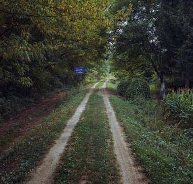 Cacak, Sırbistan - 04 Ağustos 2025: Yürüyüş, yaz mevsimi ve kasabanın çevresini çevreleyen toprak yol.