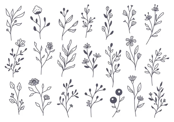 Σύνολο Διανυσματικών Φυτικών Στοιχείων Ζωγραφισμένα Στο Χέρι Λουλούδια — Διανυσματικό Αρχείο