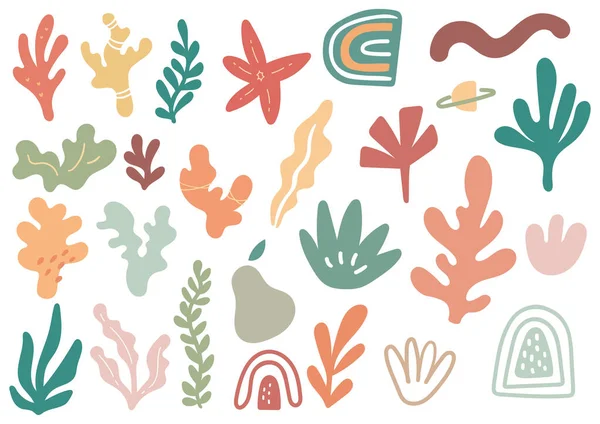 一套手绘涂鸦海生植物 矢量说明 — 图库矢量图片