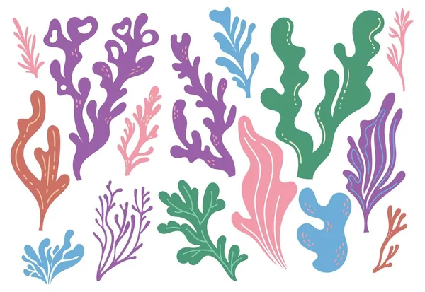 Korallenriffe Und Algen Doodle Designelemente — Stockvektor