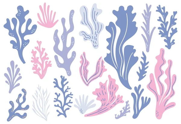 Korallenriffe Und Algen Doodle Designelemente — Stockvektor