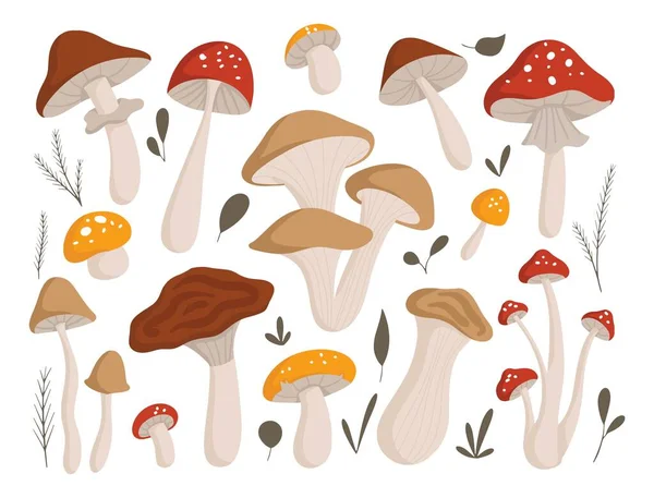 Serie Funghi Foresta Diversi Illustrazione Vettoriale Stile Cartone Animato — Vettoriale Stock