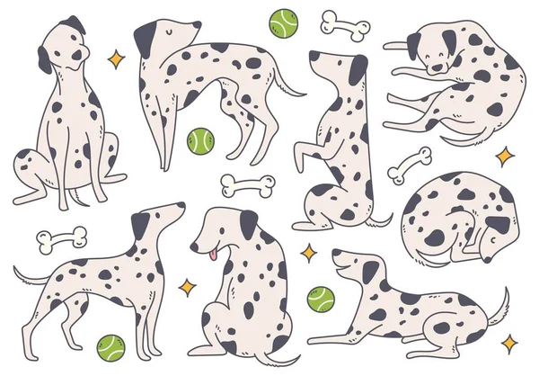 Pola Mulus Anjing Dalmatian Lucu Latar Belakang Putih Ilustrasi Vektor - Stok Vektor