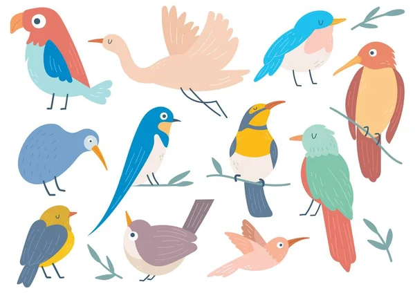 フラットスタイルのイラストの鳥のセット — ストックベクタ