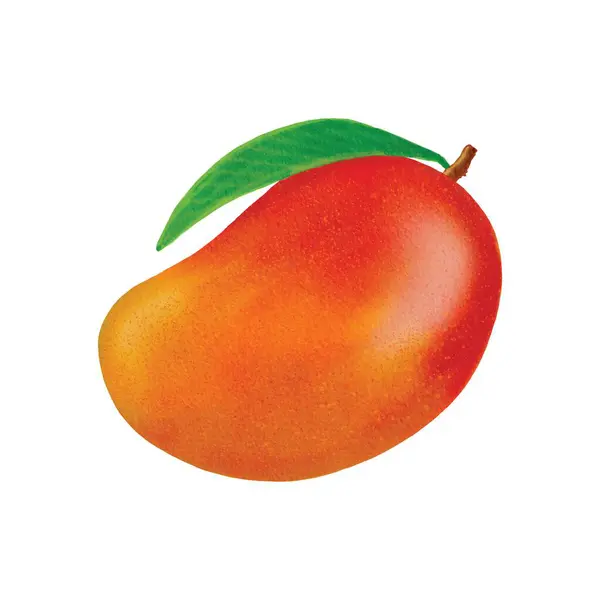 Mango Fresco Aislado Sobre Fondo Blanco — Vector de stock