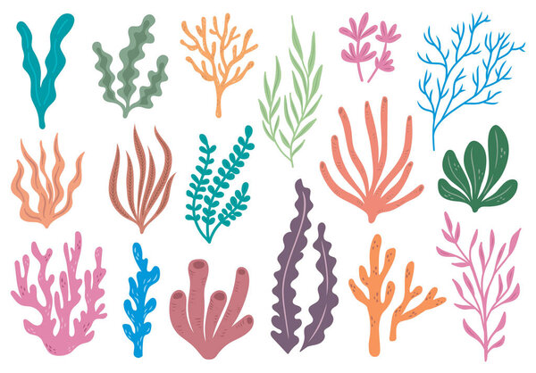 hand drawn set of colorful seaweed elements 