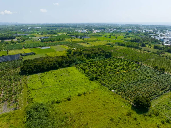 台東の野の空中風景 — ストック写真