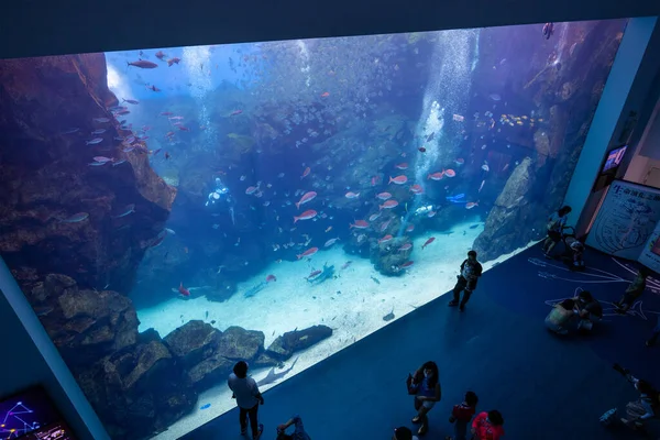 Taoyuan Tchaj Wan Července 2022 Akvárium Xpark Tchaj Wanu — Stock fotografie
