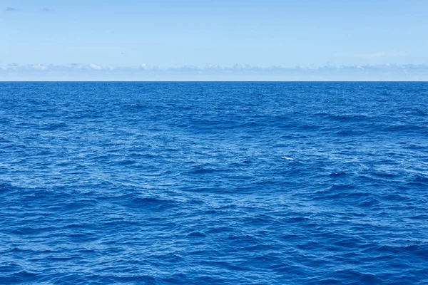 Mavi Deniz Gökyüzü — Stok fotoğraf