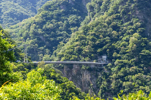 Puente Colgante Sobre Arroyo Que Fluye Entre Garganta Parque Nacional —  Fotos de Stock