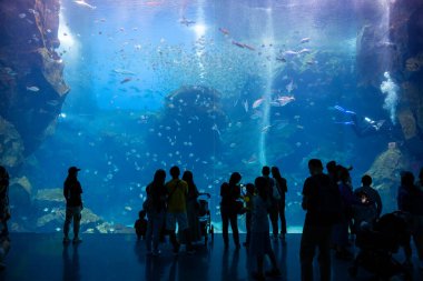 Taoyuan, Tayvan - 06 Temmuz 2022: Tayvan 'da Xpark Akvaryumu