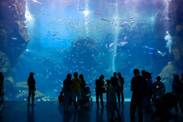 Taoyuan Taiwan July 2022 Xpark Aquarium Taiwan — Stock Photo, Image