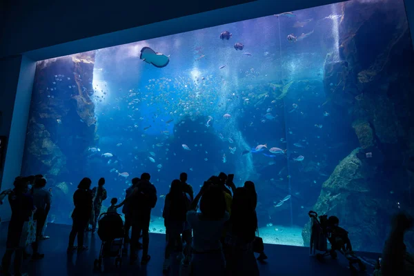 Taoyuan Taiwan Juli 2022 Xpark Akvarium Taiwan — Stockfoto