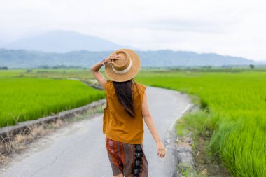 Kadın gezgin Tayvanlı Yuli 'deki çeltik tarlasının keyfini çıkarın.