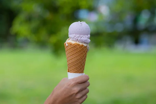 塔罗冰淇淋锥形华夫饼 — 图库照片