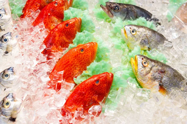 Fresh Fish Selling Wet Market — Stock Photo, Image