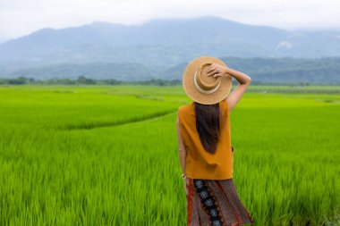 Tayvanlı Yuli 'de pirinç tarlasında yürüyen genç kız.