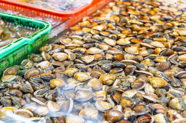 Islak pazarda istiridye satmak.