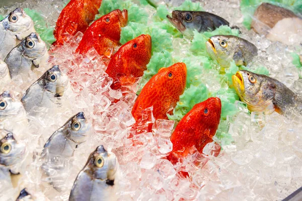 Čerstvé Ryby Prodávané Mokrém Trhu — Stock fotografie