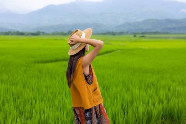 Tayvanlı Yuli 'de pirinç tarlasında yürüyen genç kız.