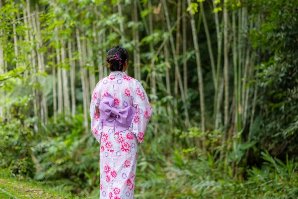 Wanita Asia Dengan Yukata Jepang Pedesaan — Stok Foto