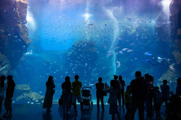台湾桃園 2022年7月6日 台湾のXpark水族館 — ストック写真