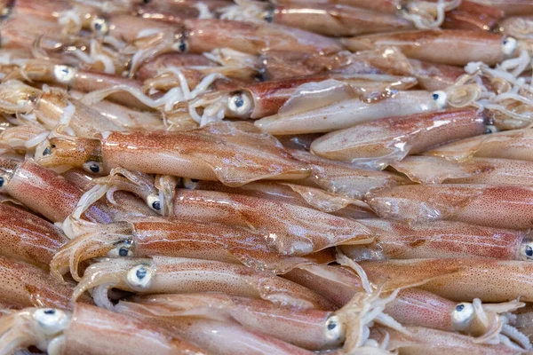 Frischer Roher Tintenfisch Auf Dem Nassen Markt Zum Verkauf — Stockfoto
