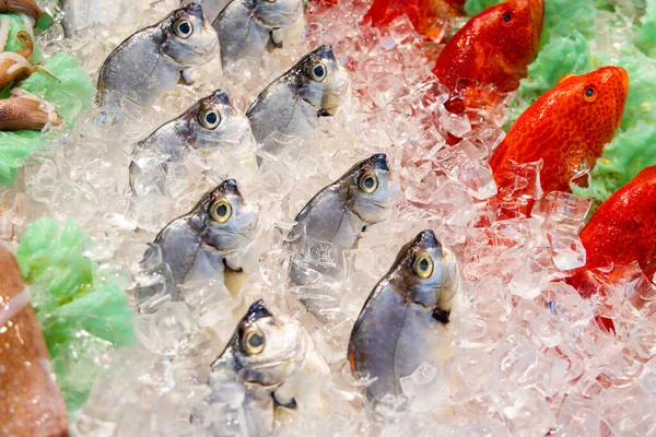 Čerstvé Ryby Prodávané Mokrém Trhu — Stock fotografie