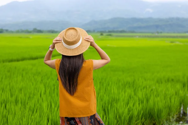 stock image Tourist woman in rice field in Yuli of Taiwan