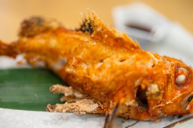 Japon usulü ızgara harika alfonsino balığı.