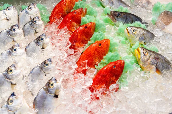 Świeże Ryby Sprzedawane Mokrym Rynku — Zdjęcie stockowe