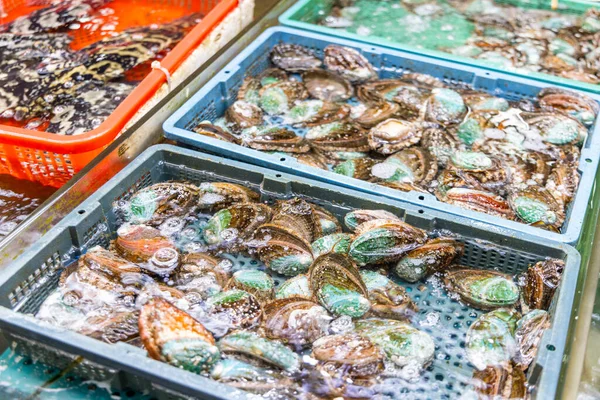 Muschelverkauf Auf Dem Feuchten Markt — Stockfoto