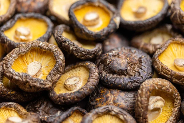 Stapel Getrockneter Shiitake Pilze — Stockfoto