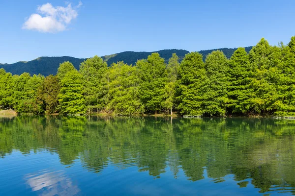 Beautiful Lake Green Tree Reflection Hualien County Taiwan — Stock Photo, Image
