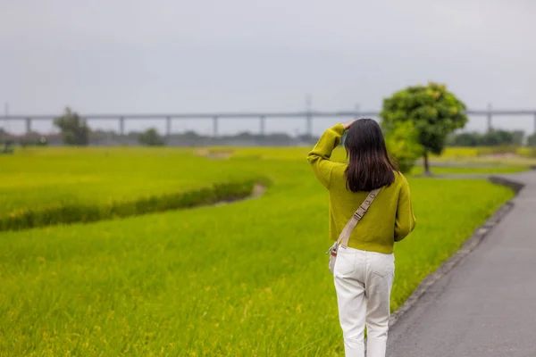 Žena Návštěva Rýžového Pole Waipu Taichungu — Stock fotografie