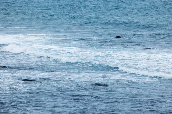 悪天候時の海の波 — ストック写真